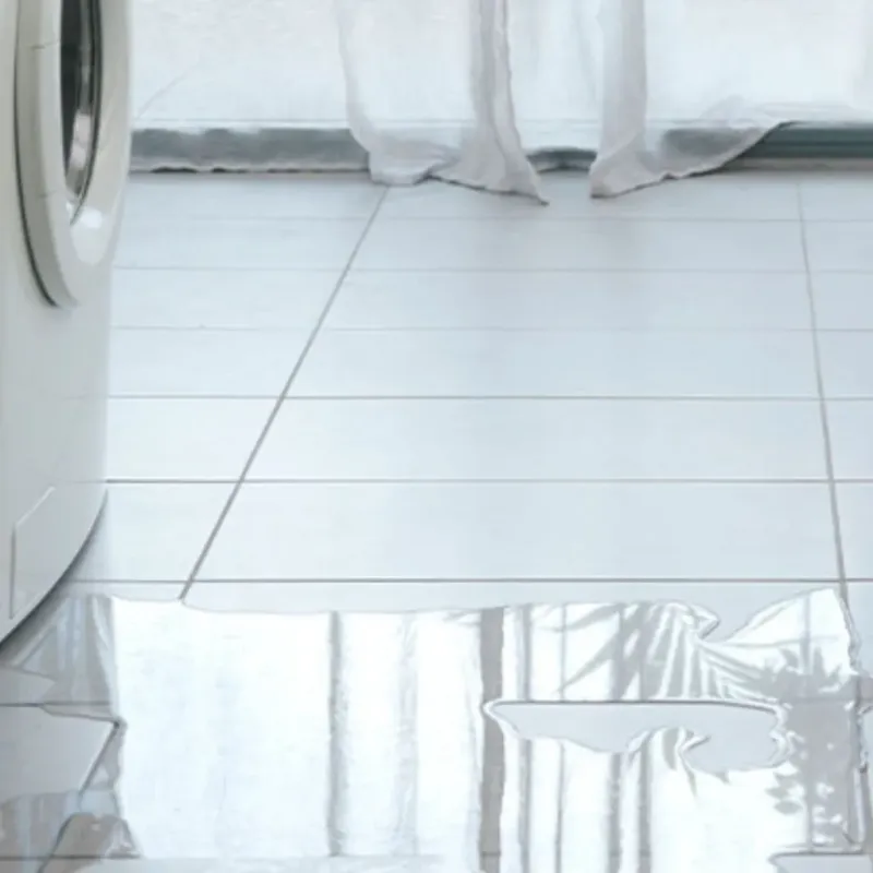 Appliance Leak Cleanup in Snow Hill, NC