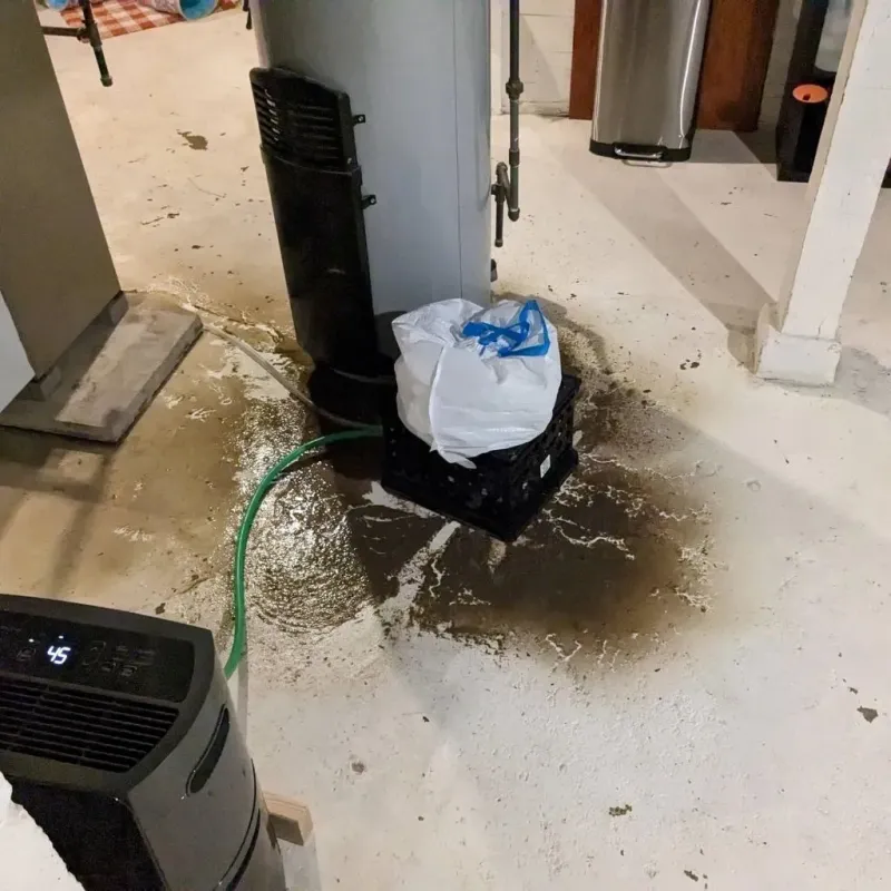 Sewage Backup Cleanup Service in Snow Hill, NC